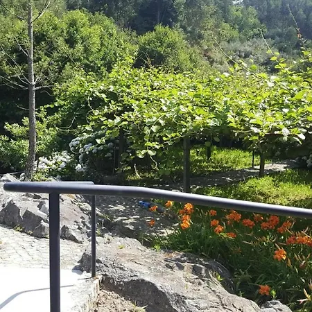 Feriehus Stone House By Caima River With Pool *