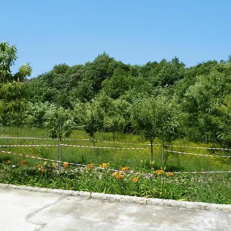 Stone House By Caima River With Pool Ferienhaus Vale de Cambra